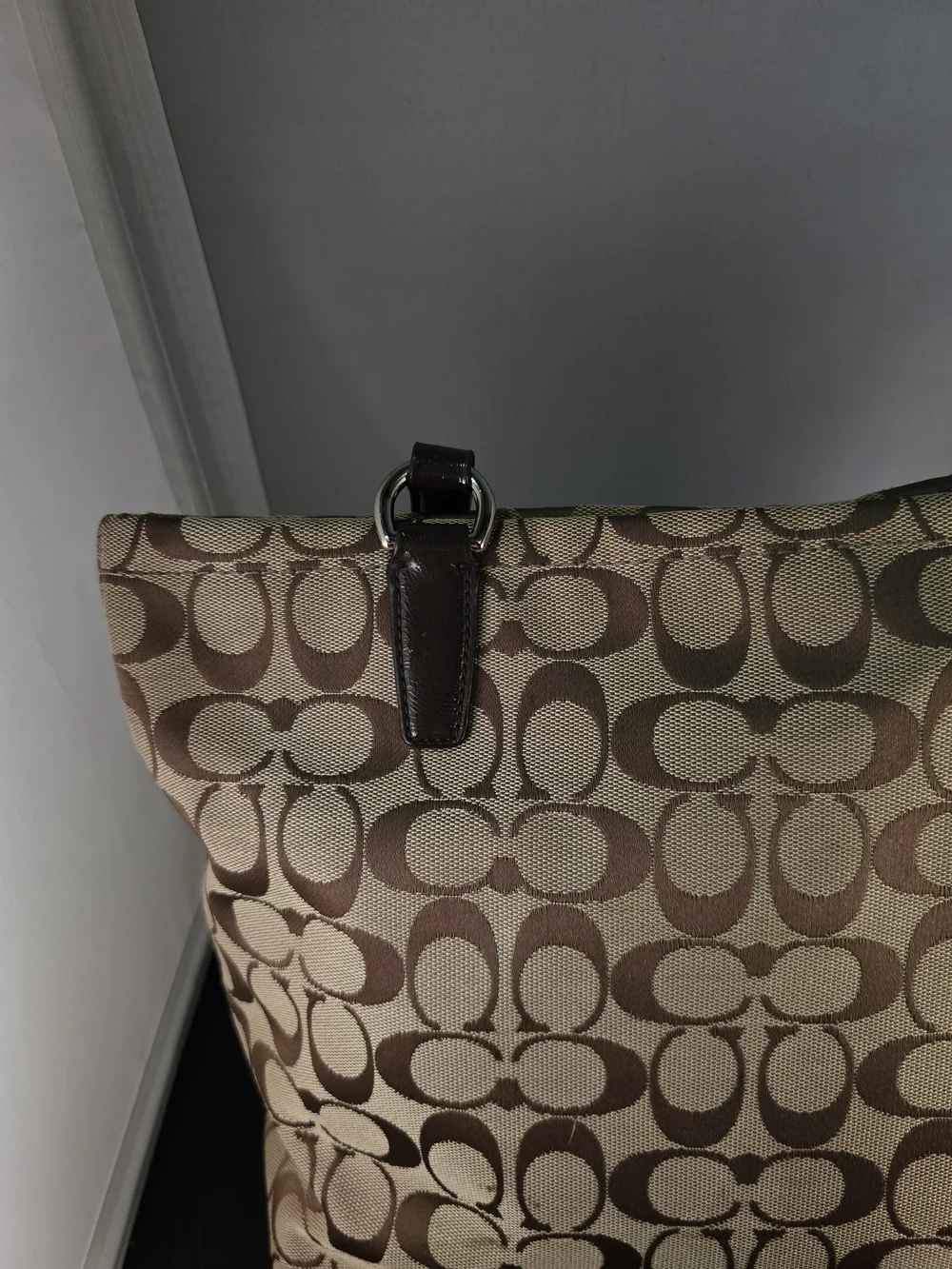Coach Signature Canvas Tote Bag in Brown